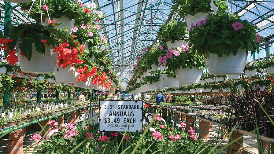 plant pricing example in a garden center