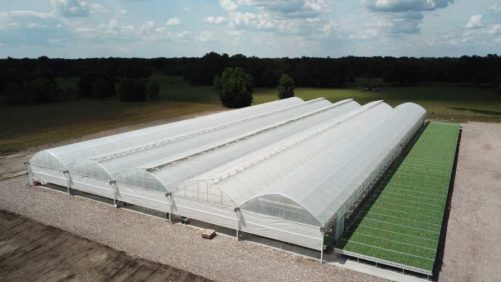 Proper Planning for Your Next Greenhouse Project Can Pay Off