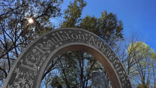 First-Ever Southeastern Plant Symposium Takes Place in June in North Carolina