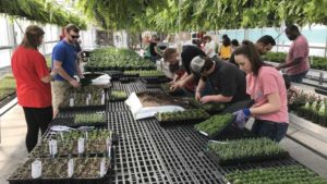 Horticulture Program Offers Lessons in Finding Jobs After Graduation