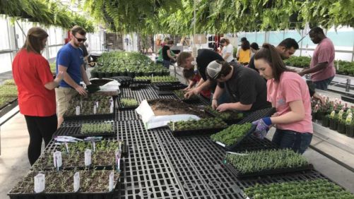 Horticulture Program Offers Lessons in Finding Jobs After Graduation