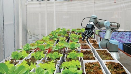 Who Will Win? A.I. Put to the Test Against Traditional Farmers