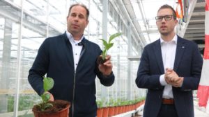 Tour Stop #1: Best Plant