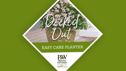 Proven Winners ColorChoice Launches New Planter Program