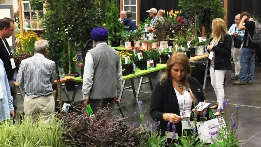 2020 Farwest Show New Varieties Showcase