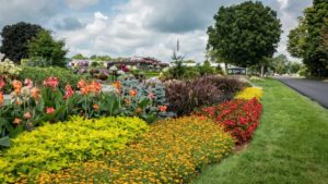 Pleasant View Gardens Releases New Retailer Guide for Its Top Offerings