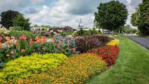 Pleasant View Gardens Brings the Color in its New Perennial and Shrub Color Guide