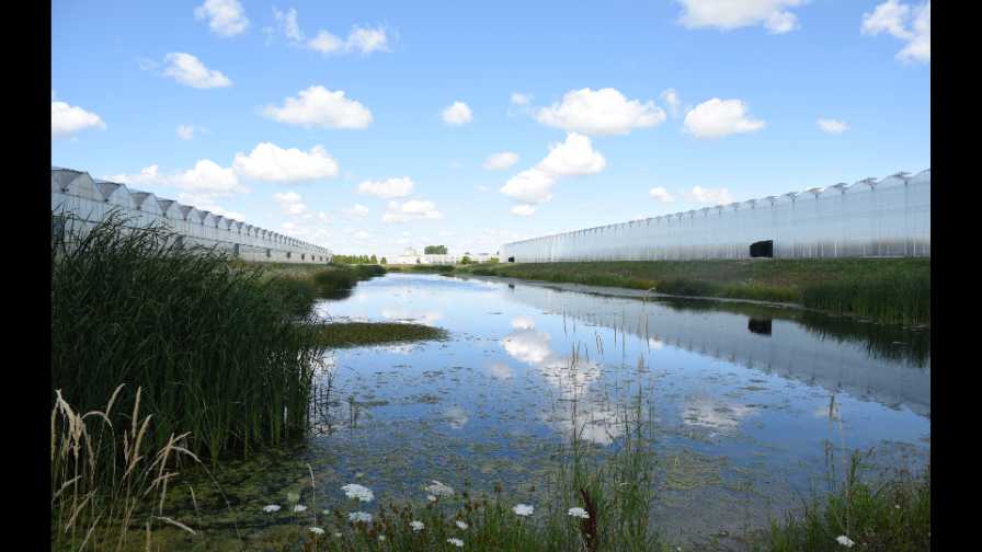 Water Retention Pond Water for Food Global Forum