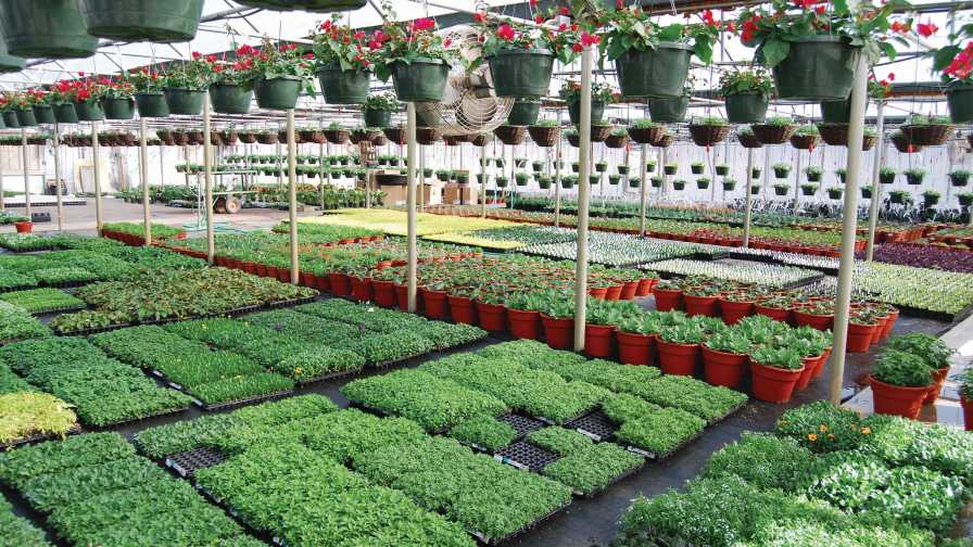 Spring Crops Recap: “We Are in a Good Place for the Future”