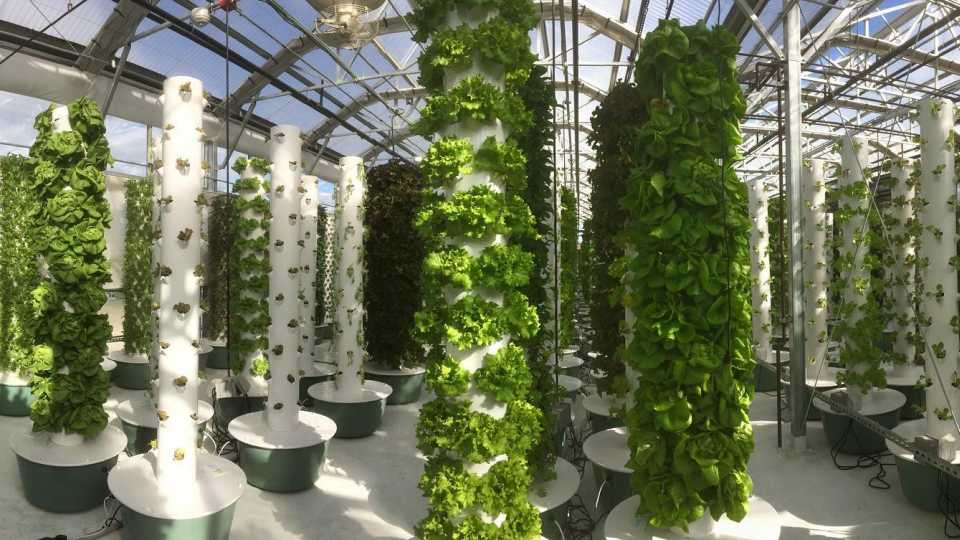 Altius Farms 