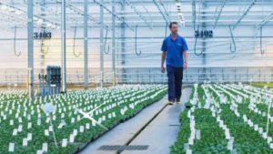 New Video From Beekenkamp Highlights Plant Production Process