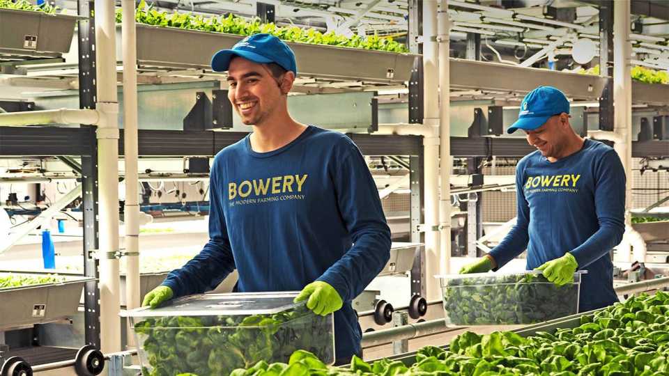 Bowery Farming 