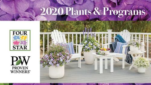 Four Star Greenhouse Pumped up for 2020 Plants Guide