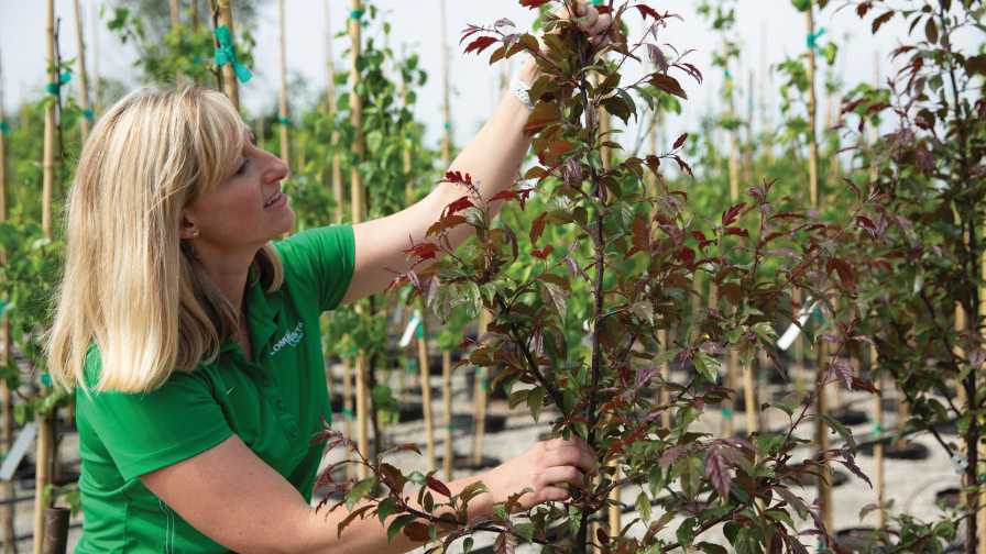 Loma Vista Nursery water-efficiency performance metrics