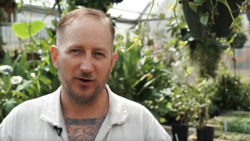 National Garden Bureau Video Contest Yields Fun Ways to Promote Snapdragons