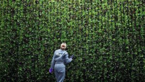 What’s the Future of Indoor Agriculture Look Like? Plenty Paints a Picture