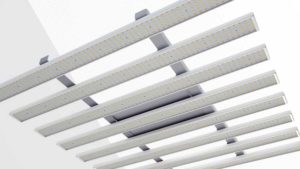 The Secret to Measuring the Quality and Performance of LED Grow Lights