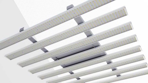 The Secret to Measuring the Quality and Performance of LED Grow Lights