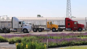 Survey Highlights Your Top Transportation Challenges and Solutions