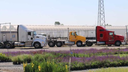 Survey Highlights Your Top Transportation Challenges and Solutions