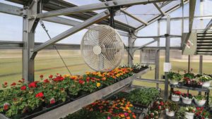Cooling Technology