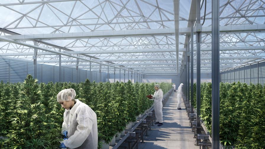 How One Company is Betting the House on Greenhouse Cannabis cannabis salaries