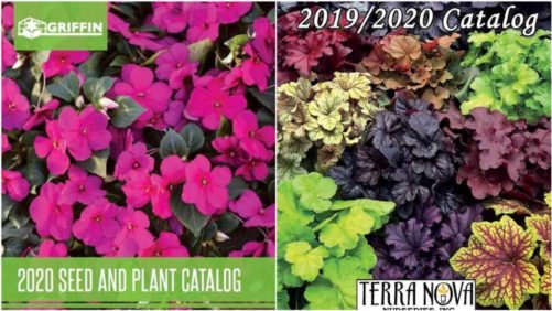 Get a Jump on 2020 With New Plant Catalogs From Griffin, Terra Nova