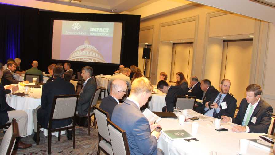 Impact Washington 2017
