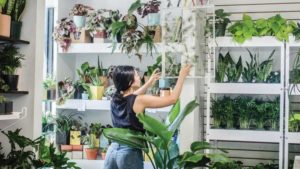 Ways to Help Consumers Bring the Garden Indoors