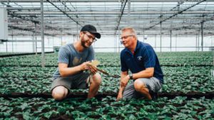 Why the Best Head Growers Offer Lessons for Others to Follow