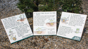 Tips to Help Your Customers Become Successful With New Plants