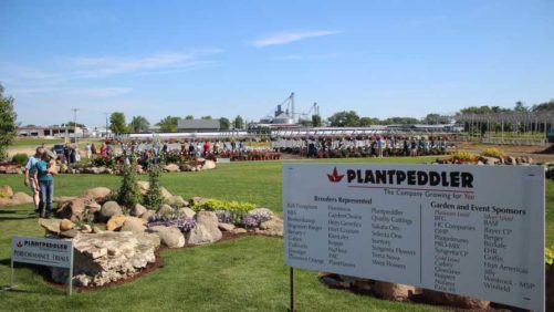 Plantpeddler To Host Variety Day 2021 Trial Gardens