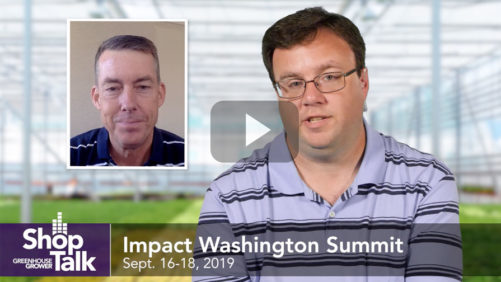 Why You Need to Be at the Impact Washington Summit