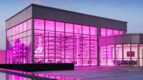 Ground Breaks on the Largest Indoor Vertical Farm in the Southeast U.S.