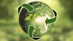 State of the Greenhouse Industry: Top Business Concerns By Region