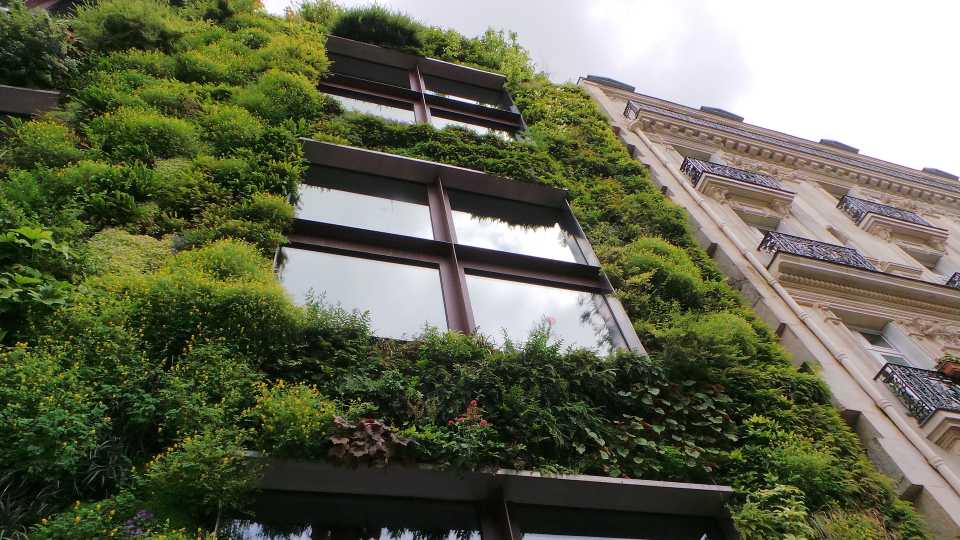 Cities of the Future What You Can Do