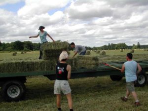 Green Collar Jobs What You Can Do