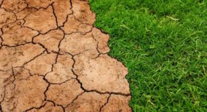 Endangered Soil