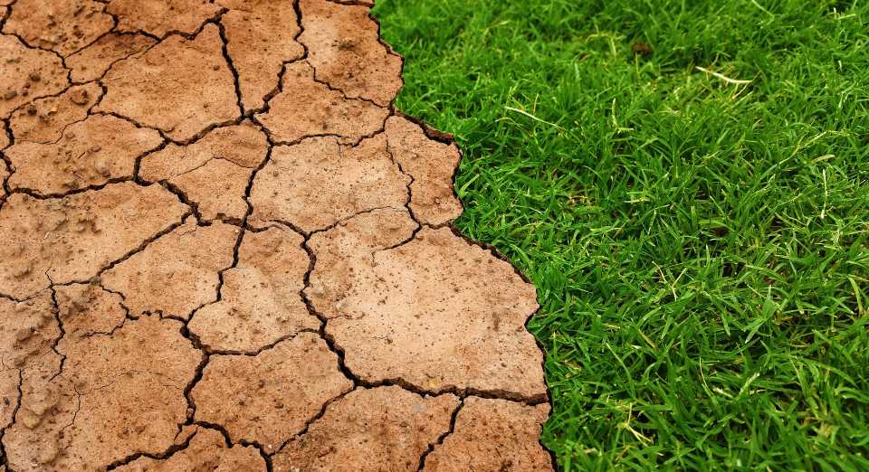 Endangered Soil
