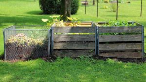 Eight Gardening Trends for 2020, and How to Benefit From Them