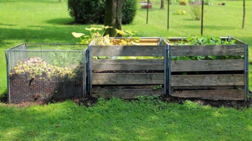 Eight Gardening Trends for 2020, and How to Benefit From Them