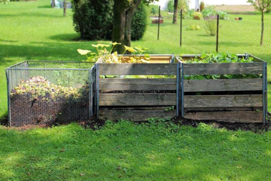 Endangered Soil What You Can Do