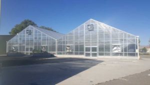 Webinar Highlights Greenhouse Humidity Control Strategies