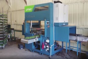 TTA PackPlanter S