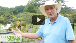 An Up-Close Look at Pollinator Plants You Need to be Growing