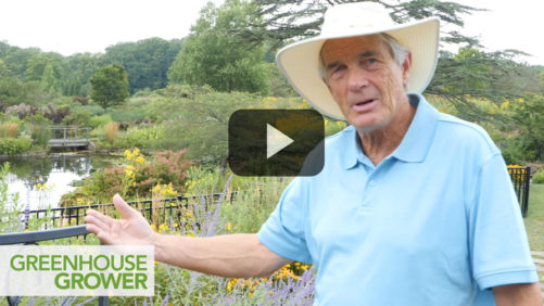 An Up-Close Look at Pollinator Plants You Need to be Growing