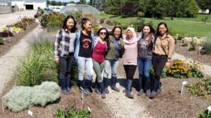 Corso’s Perennials Offers a Great Internship Model