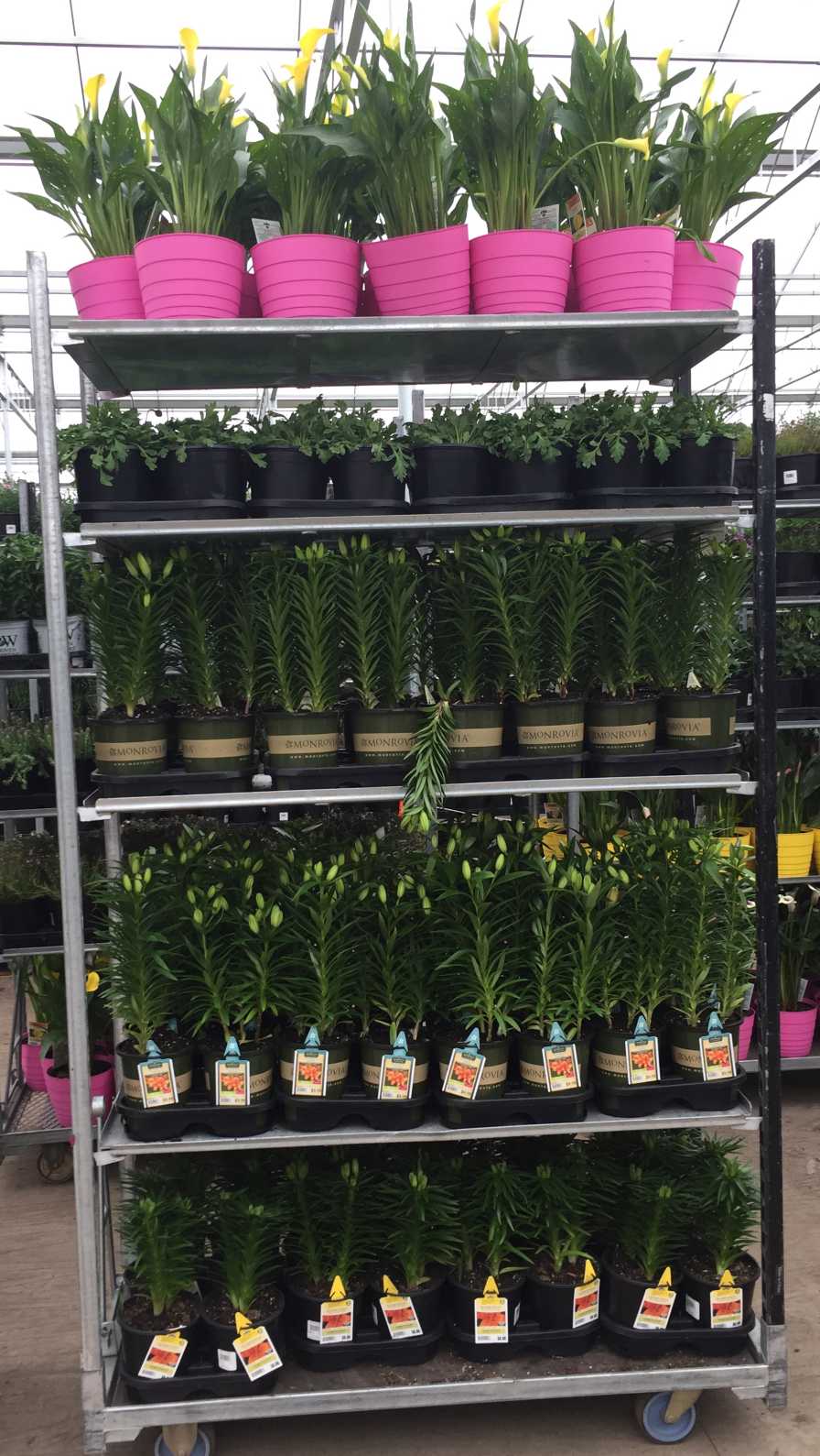 How Suppliers Are Helping Growers Improve Shipping Efficiency ...