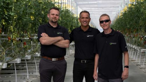 How Mucci Farms Went International to Grow Local Vegetables