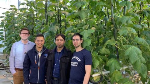 Why an Autonomous Greenhouse from Microsoft is a Winner